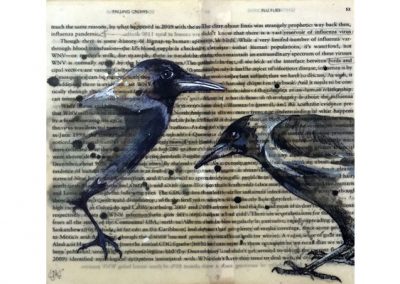 Falling Crows Book